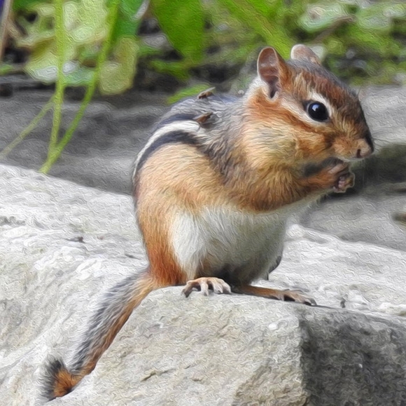 Meet your Posher, Charles - Picture 2 of 3